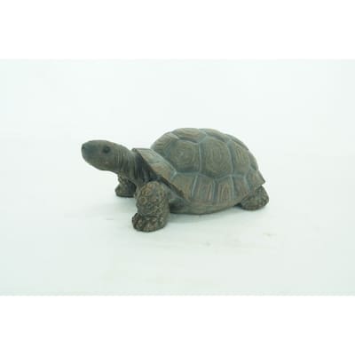 Turtle 10 Inch