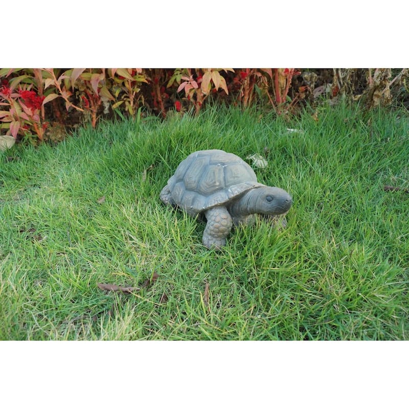 Turtle 10 Inch