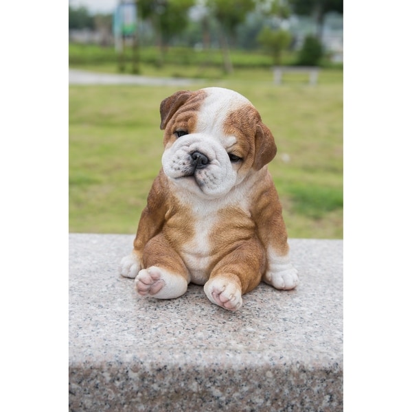 bulldog puppy statue