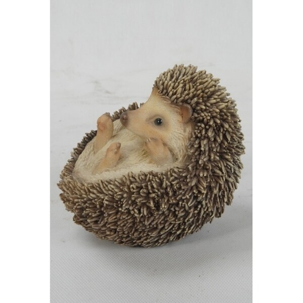 Hedgehog On Its Back - Bed Bath & Beyond - 29045609