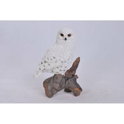 Snowy Owl On Stump