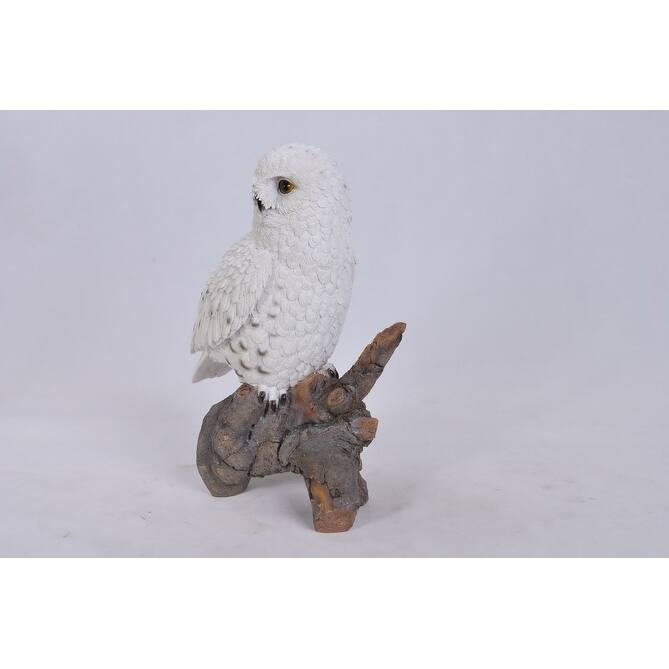 Snowy Owl On Stump