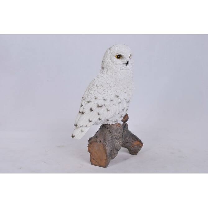 Snowy Owl On Stump