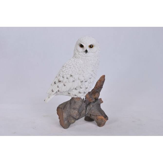 Snowy Owl On Stump