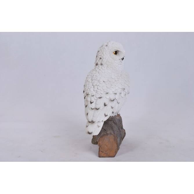 Snowy Owl On Stump