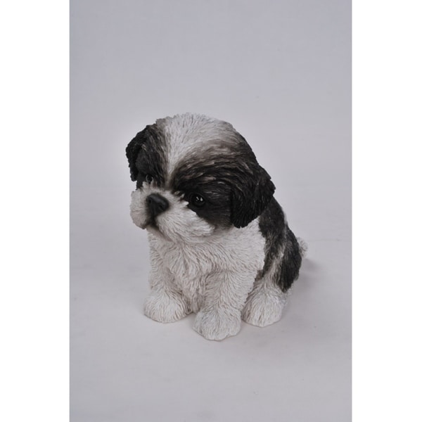 Toy shih clearance tzu for sale