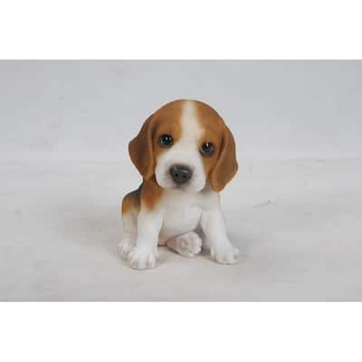 Beagle Puppy