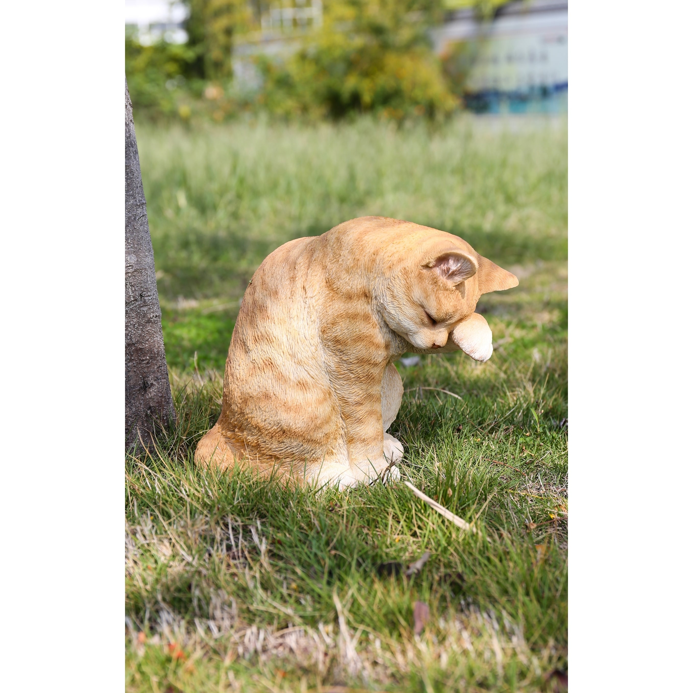 orange shorthair tabby cat