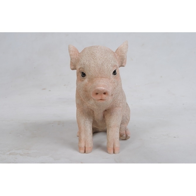 Pig ☆ 18012 Naturflex Large Pig 8