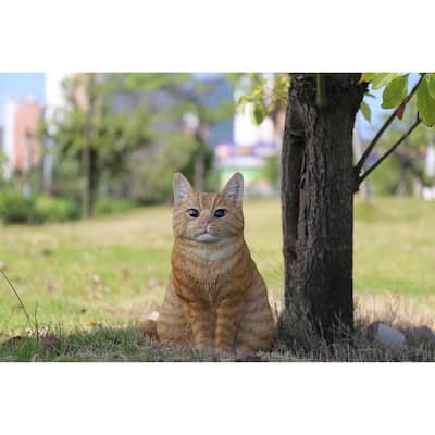 Orange Tabby Cat Sitting