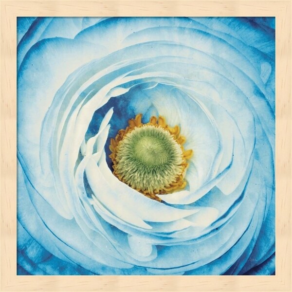 Aledanda 'White Peony with Blue' Framed Art