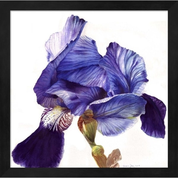 Doris Joa 'Blue Iris' Framed Art