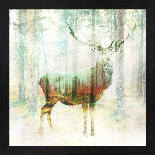 Arlo Wren Photos 'Lord of the Woods (detail)' Framed Art