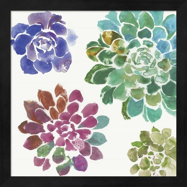 Aimee Wilson 'Water Succulents II' Framed Art