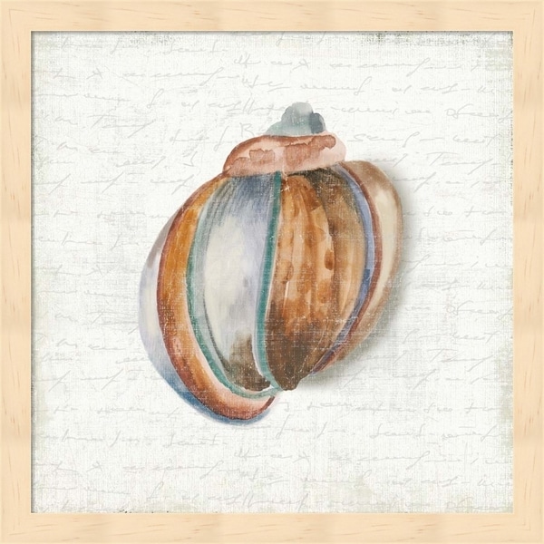 Aimee Wilson 'Seashell Portrait II' Framed Art