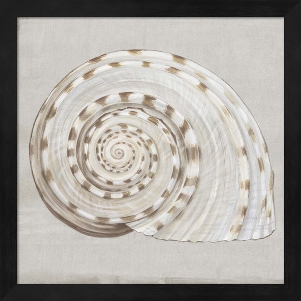 Eva Watts 'Neutral Shells I' Framed Art