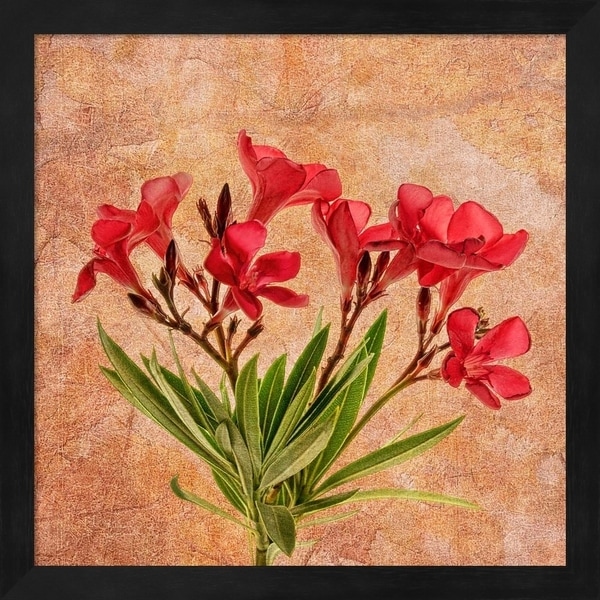 Leda Robertson 'Fantasy in Red II' Framed Art