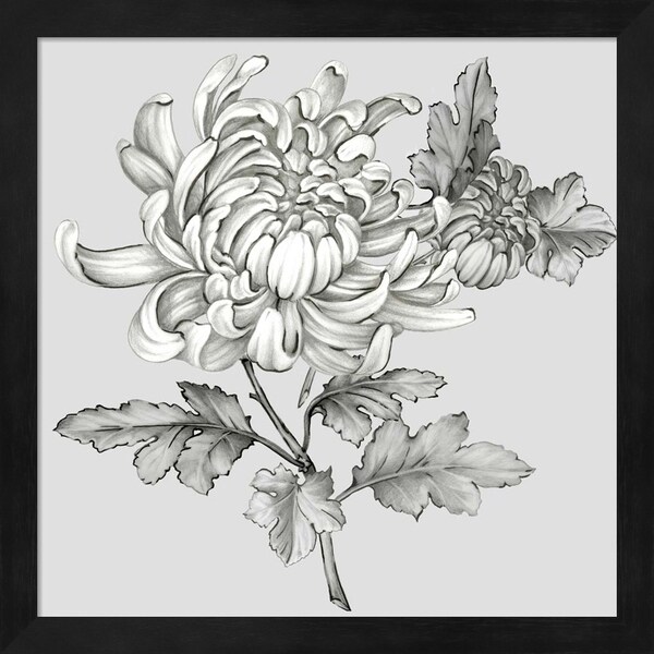 Eva Watts 'Grey Botanical II' Framed Art