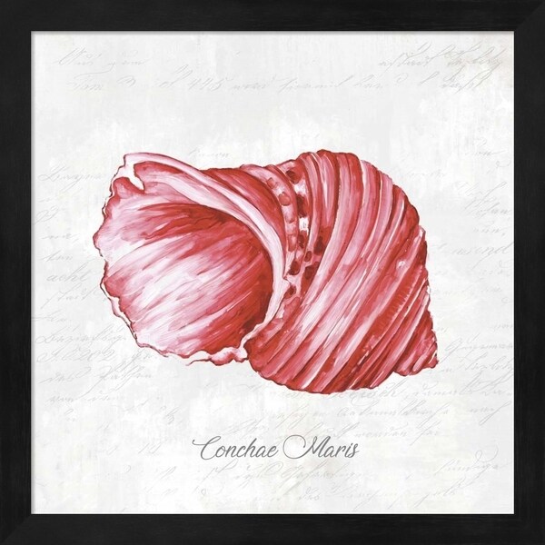 Eva Watts 'Red Seashell' Framed Art