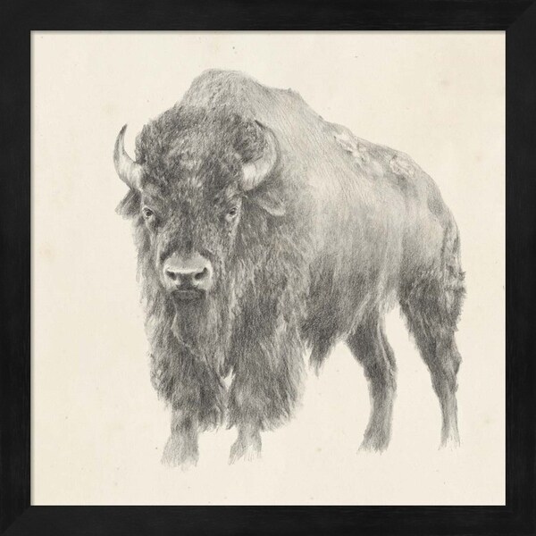 Ethan Harper 'Western Bison Study' Framed Art
