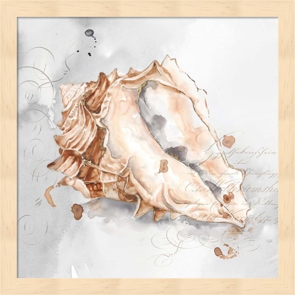 Eva Watts 'Blush Shell III' Framed Art