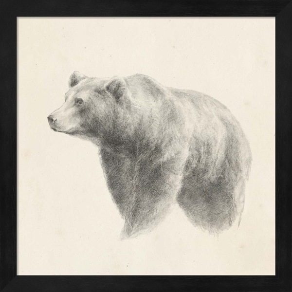 Ethan Harper 'Western Bear Study' Framed Art