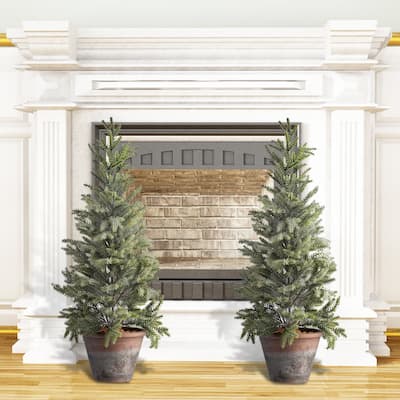 24-inch Potted Frosted Mini Spruce Trees (Set of 2)