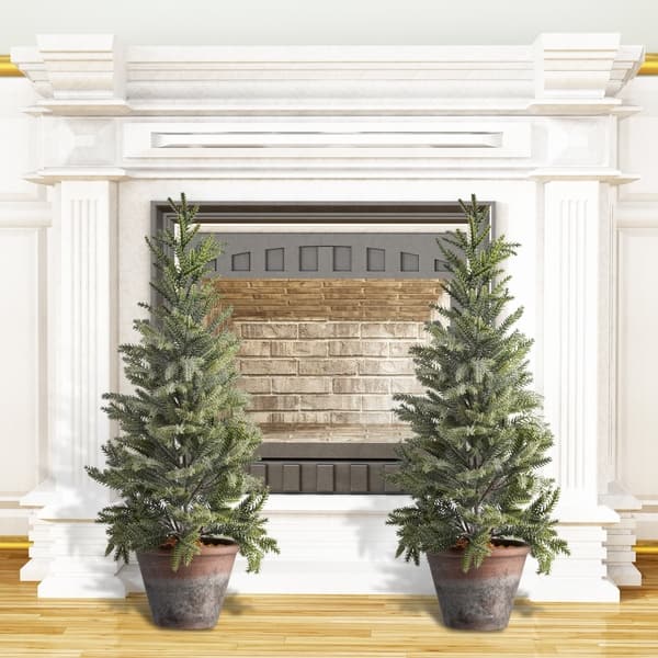 24inch Potted Frosted Mini Spruce Trees (Set of 2) Bed Bath & Beyond
