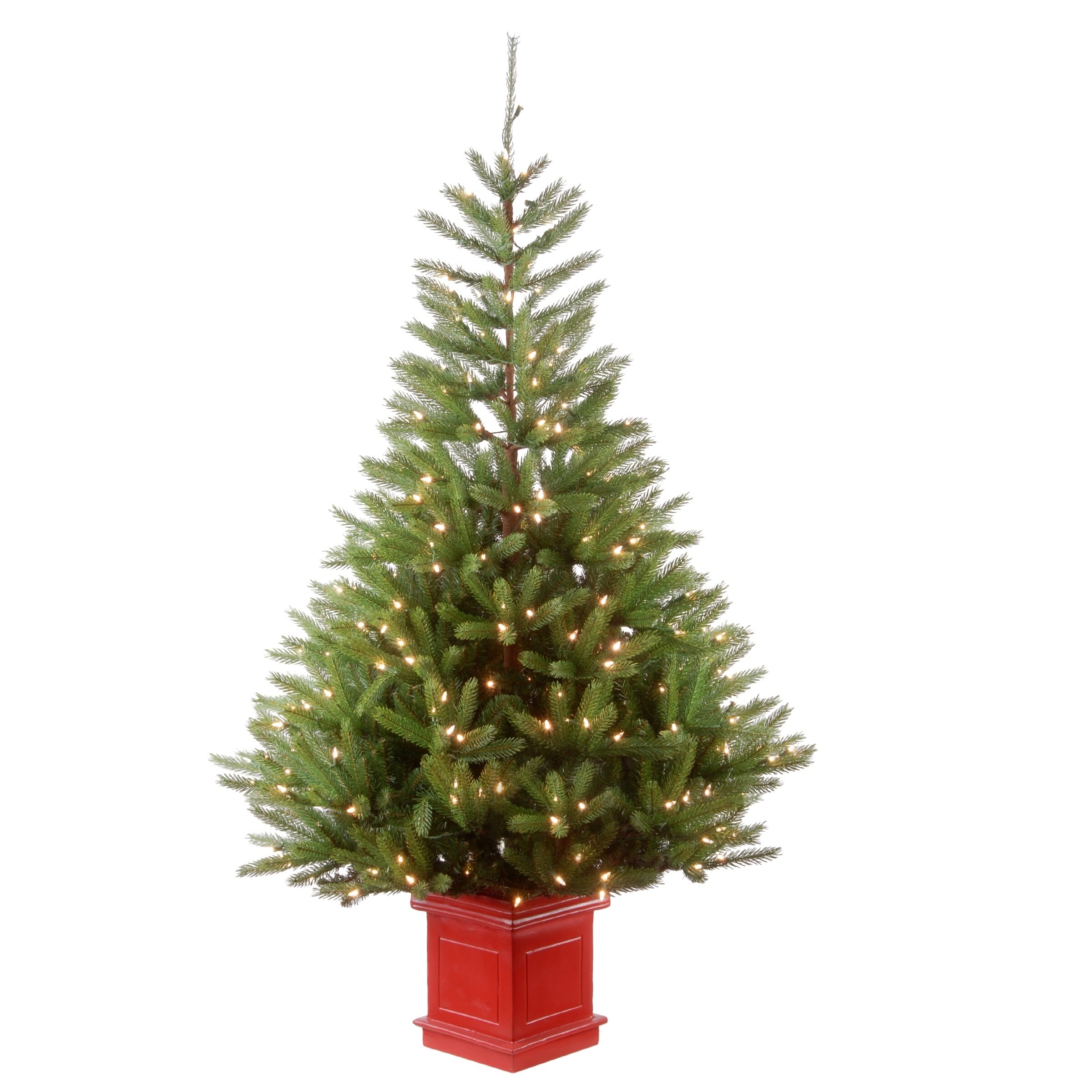5 ft. Topeka Spruce Entrance Tree with Clear Lights -  National Tree Company, PETP2-309-50