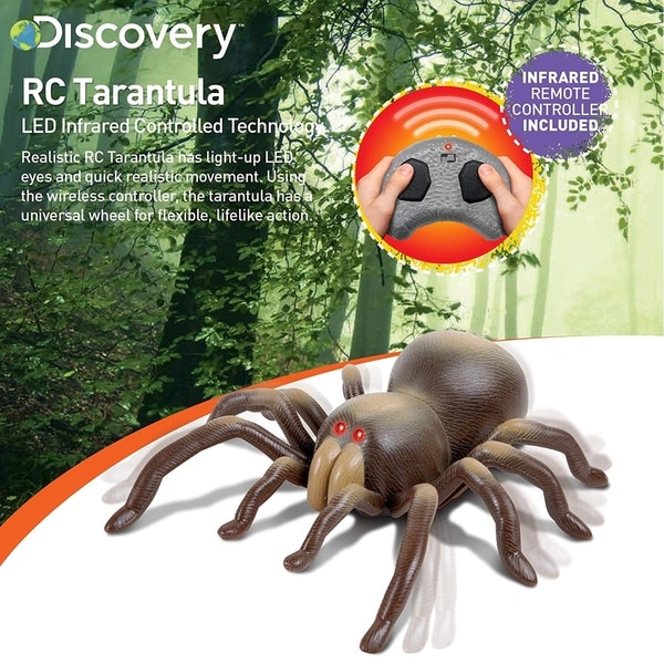 rc tarantula discovery