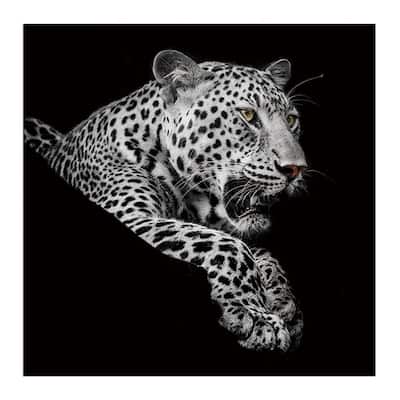 Oppidan Home "Leopard in Black and White" Acrylic Wall Art (40"H X 40"W) - Multi - Black and White