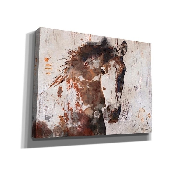 Epic Graffiti 'Brown 2 Gorgeous Horse' by Irena Orlov Canvas Wall Art