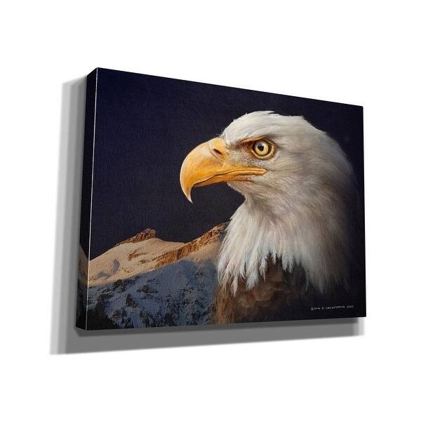 Epic Graffiti 'Bald Eagle Study' by Chris Vest, Giclee Canvas Wall Art, 16"x12"
