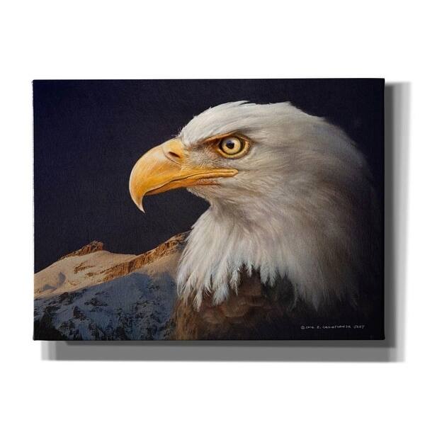 Epic Graffiti 'Bald Eagle Study' by Chris Vest, Giclee Canvas Wall Art, 16"x12" - 54 x 40