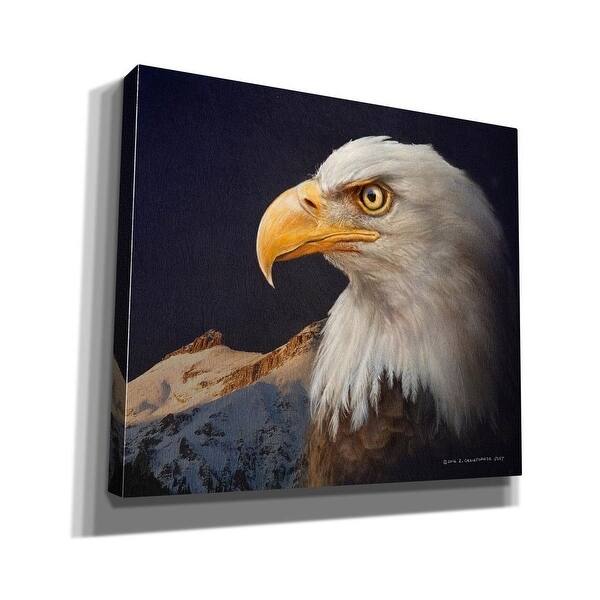Epic Graffiti 'Bald Eagle Study' by Chris Vest, Giclee Canvas Wall Art, 16"x12"