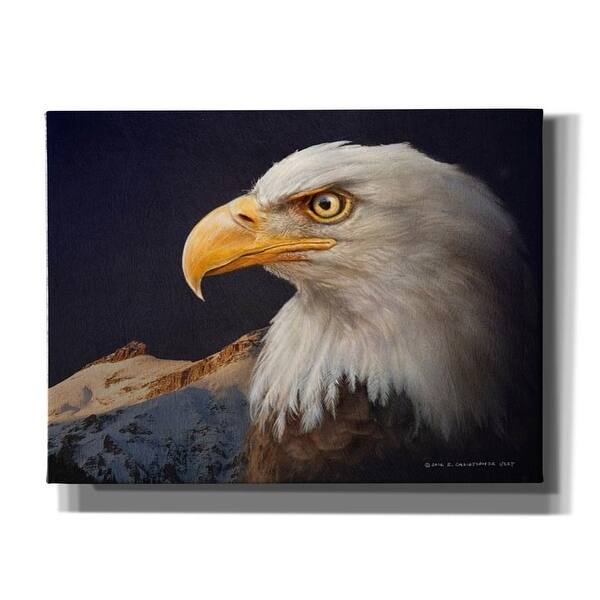 Epic Graffiti 'Bald Eagle Study' by Chris Vest, Giclee Canvas Wall Art, 16"x12" - 24 x 20