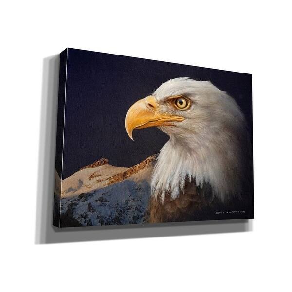 Epic Graffiti 'Bald Eagle Study' by Chris Vest, Giclee Canvas Wall Art, 16"x12"