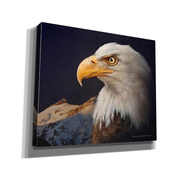 Epic Graffiti 'Bald Eagle Study' by Chris Vest, Giclee Canvas Wall Art, 16"x12"