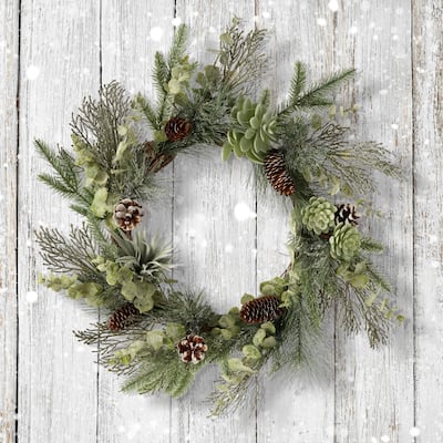 22" Pine/Cedar/Spruce Succulent Wreath