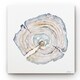 preview thumbnail 1 of 2, Watercolor Tree Ring I -Gallery Wrapped Canvas