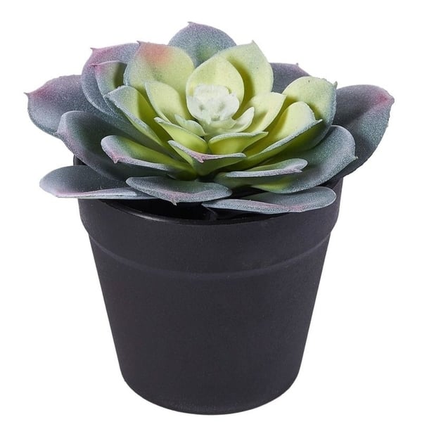 Shop 6 Pack Artificial Succulents Fake Faux Plants Unpotted Home