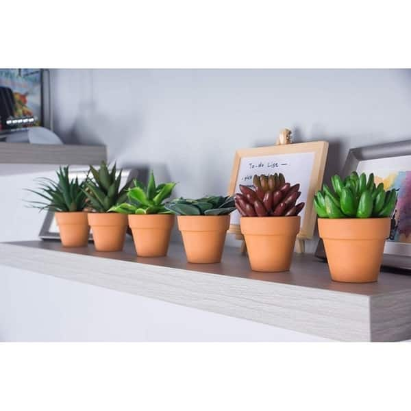 Shop 6 Pack Artificial Succulents Fake Faux Plants Unpotted Home