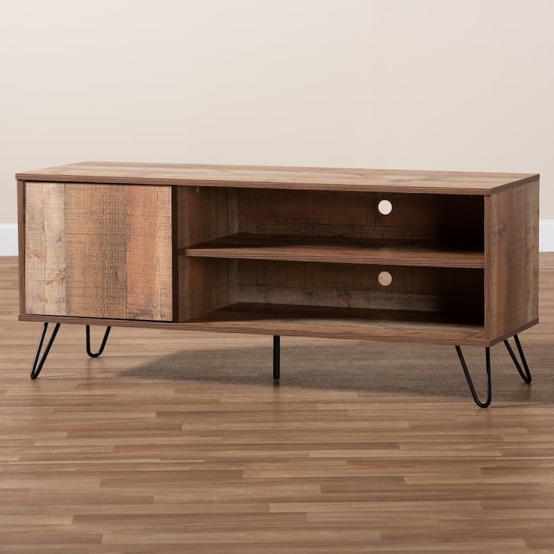 Iver Modern and Contemporary 1-Door TV Stand