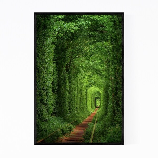 Noir Gallery Forest Trail Nature Landscape Framed Art Print