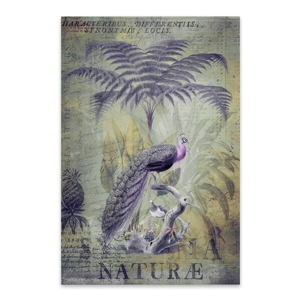 Noir Gallery Peacocks Vintage Floral Botanical Metal Wall Art Print Overstock 29081562 Romantic paris vintage peacock photo wall tile. overstock com