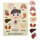 preview thumbnail 5 of 3, 2-Pack Educational Wood Peg Puzzle, My Human Body Inside and Outside Parts 12x9"