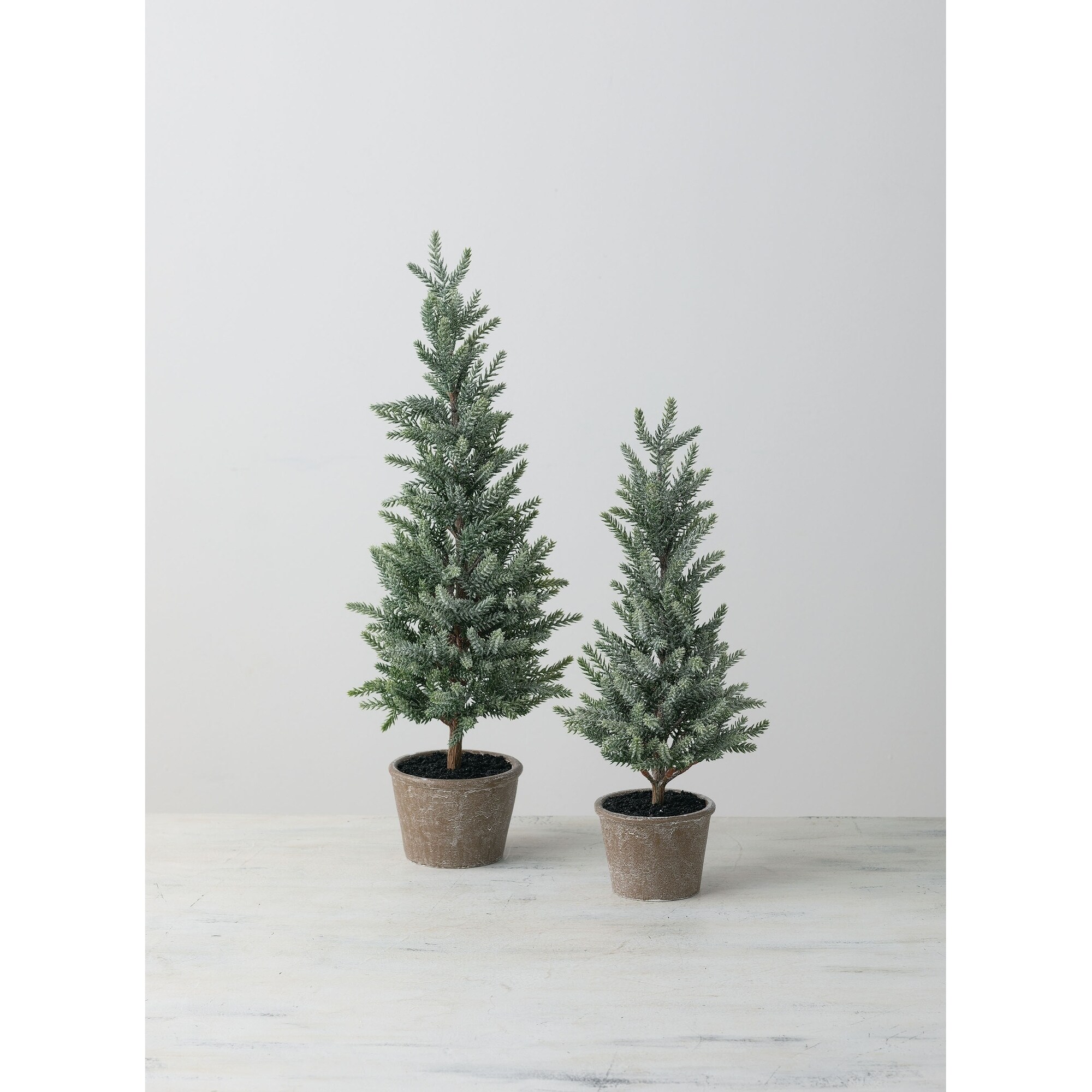 Shop Mini Potted Pine Trees Set Of 2 8 L X 8 W X 22 H 6 L X 6