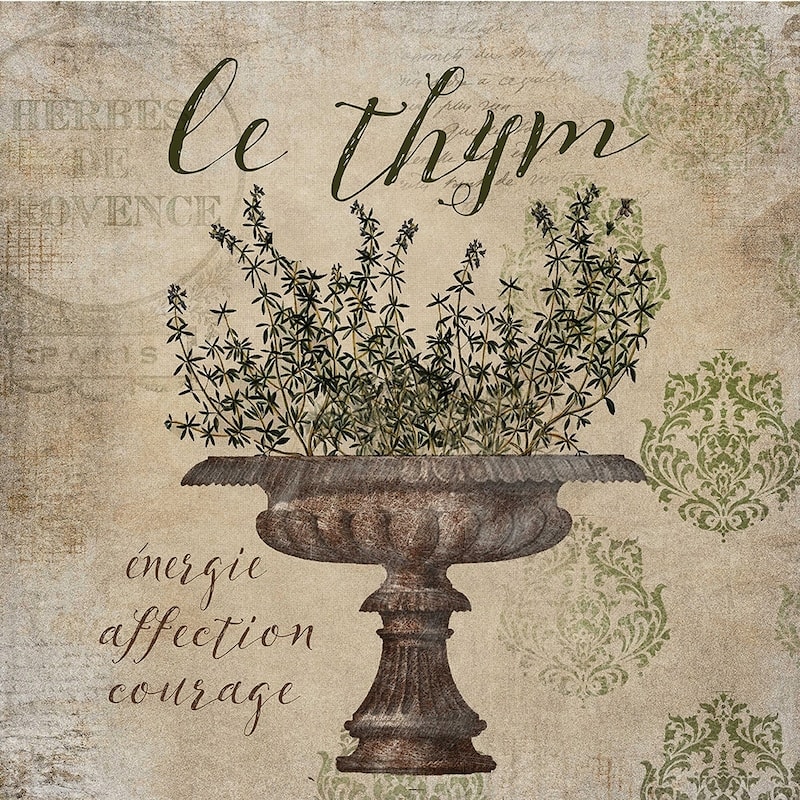 CANVAS French Herbs Thyme By Beth Albert
