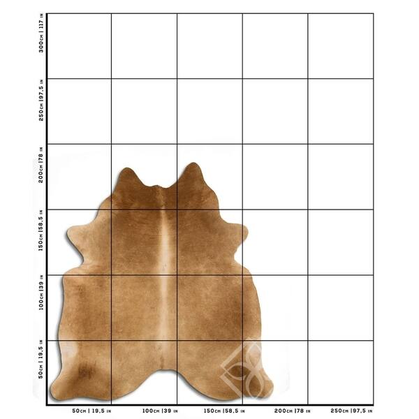 Cowhide Area Rugs NATURAL HAIR ON COWHIDE CARAMEL 2 - 3 M GRADE A size ...