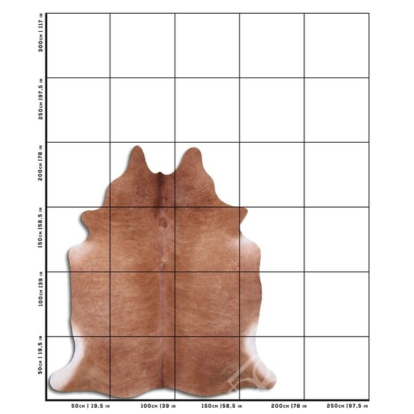 Cowhide Area Rugs NATURAL HAIR ON COWHIDE BROWN 3 - 5 M GRADE B Size ...